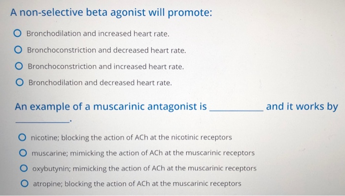 solved-a-non-selective-beta-agonist-will-promote-o-chegg