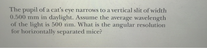 Solved The pupil of a cat's eye narrows to a vertical slit | Chegg.com