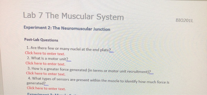 Solved Lab 7 The Muscular System BIO201L Experiment 2: The | Chegg.com