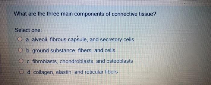 solved-what-are-the-three-main-components-of-connective-chegg