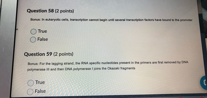 Solved Question 58 (2 points) Bonus: In eukaryotic cells, | Chegg.com