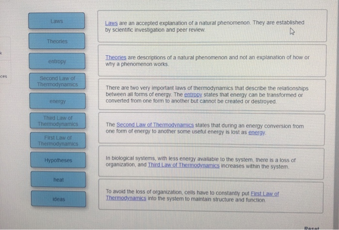 phenomenon-definition