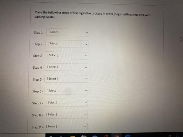 Solved Place the following steps of the digestive process in | Chegg.com