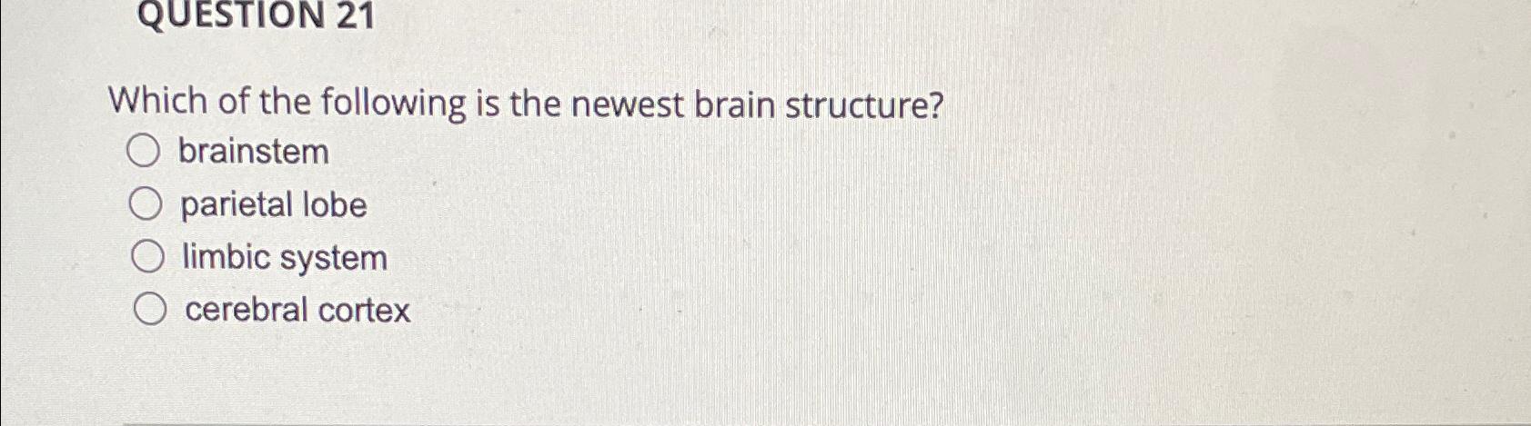 Solved QUESTION 21Which of the following is the newest brain | Chegg.com