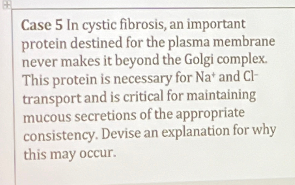 case study cystic fibrosis and protein synthesis