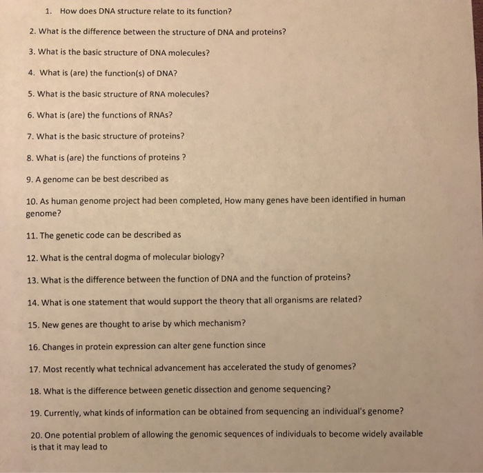 Solved 1 How Does Dna Structure Relate To Its Function Chegg Com