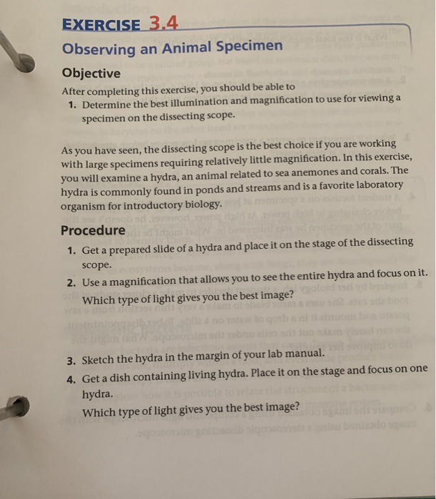 Study Animal Objective Example EXERCISE 3.4 Observing an Animal Specimen Objective | Chegg.com