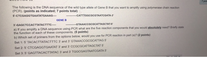 Solved polis The following is the DNA sequence of the wild | Chegg.com