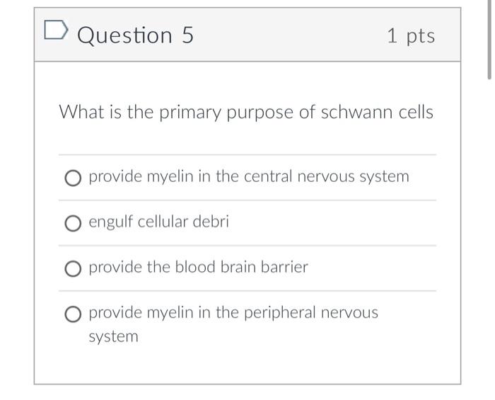 Solved D Question 5 1 pts What is the primary purpose of | Chegg.com