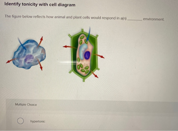 Solved Identify Tonicity With Cell Diagram The Figure Below | Chegg.com