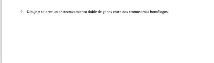 9. Dibuje y coloree un entrecruzamiento doble de genes entre dos cromosomas homólogos.