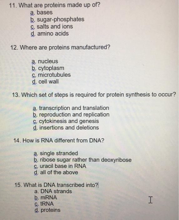 Solved 11. What are proteins made up of? a. bases b. | Chegg.com