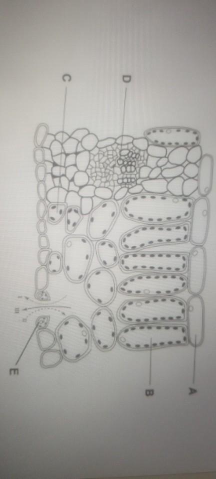 Solved select all that apply from the diagram-->which ones | Chegg.com