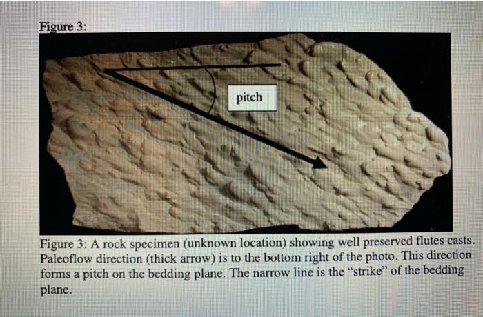 Solved 4 Flute Casts Are Sedimentary Structures That Are Chegg Com