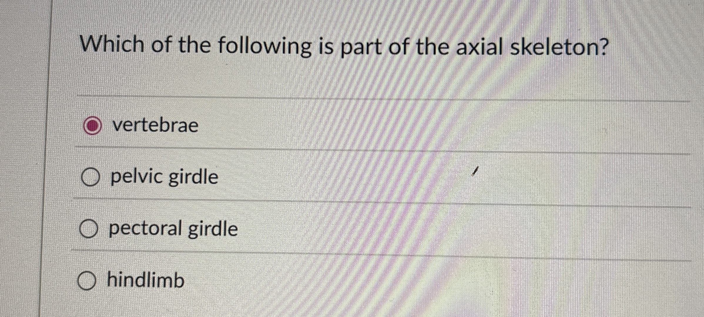 [Solved] Which of the following is part of the axial skelet