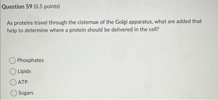Solved Question 58 ( 0.5 points) Which of the following | Chegg.com