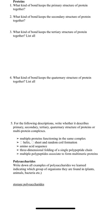 Solved Proteins 1. What kind of bond keeps the primary | Chegg.com