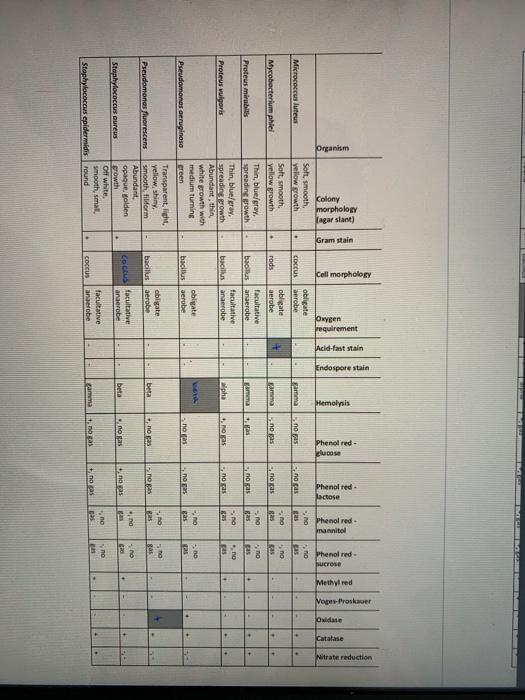 BIO 27 - Principles of Microbiology Identification of | Chegg.com