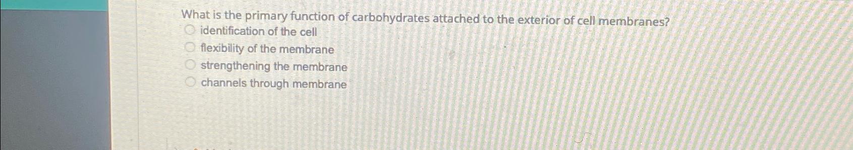 Solved What is the primary function of carbohydrates | Chegg.com