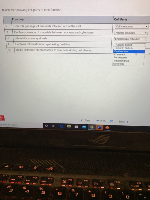 Solved Match the following cell parts to their function. | Chegg.com