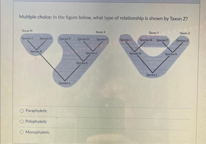 Solved im not sure if its Paraphetic or Polyphyletic. please | Chegg.com
