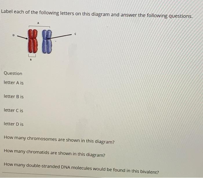 Solved Label each of the following letters on this diagram | Chegg.com