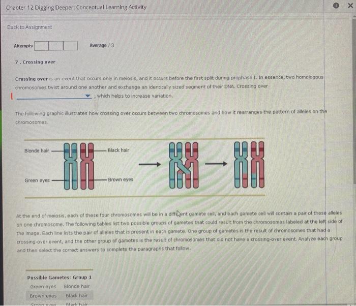 Solved Chapter 12 Digging Deeper: Conceptual Learning | Chegg.com