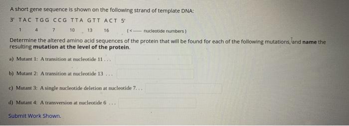 Solved 1 4 7 16 A short gene sequence is shown on the | Chegg.com