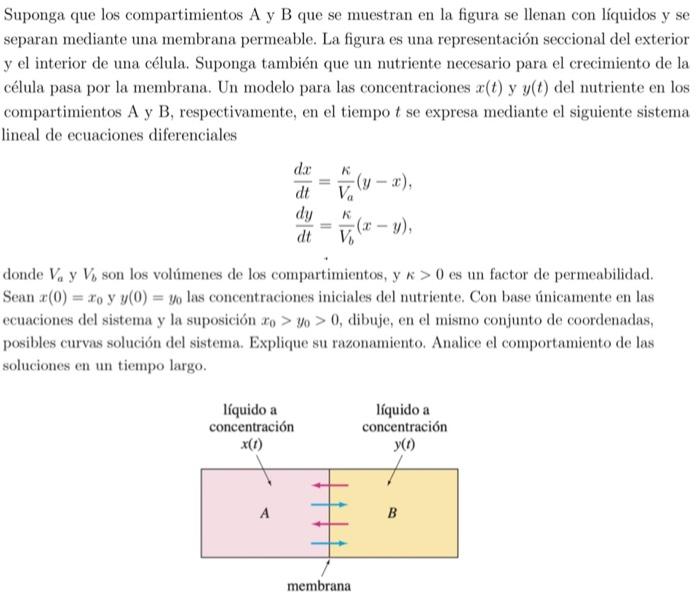 Suponga que los compartimientos A y B que se muestran en la figura se llenan con líquidos y se separan mediante una membrana