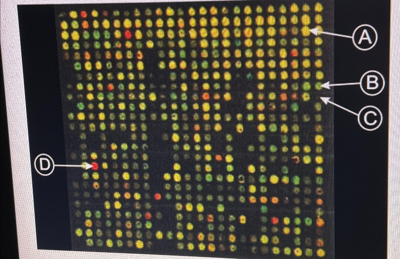 Solved A microarray with a mixture of two differentially | Chegg.com
