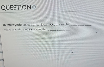 Solved In eukaryotic cells, transcription occurs in thewhile | Chegg.com