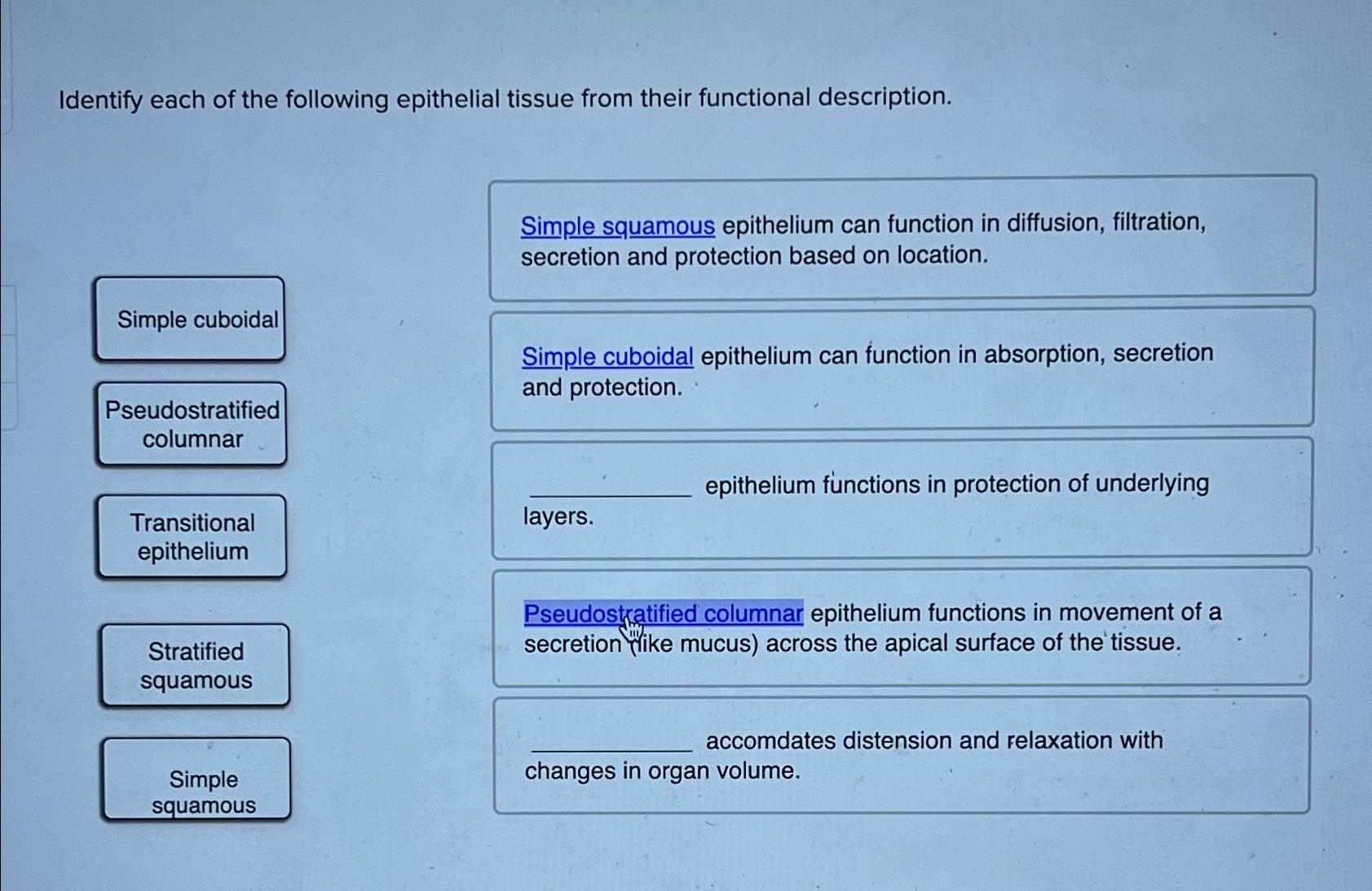 Solved Identify each of the following epithelial tissue from