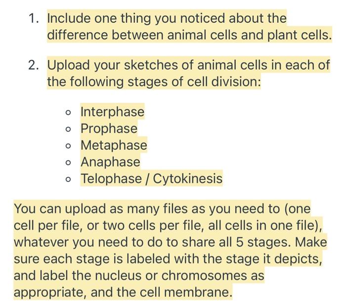 Virtual Microscope By Answers