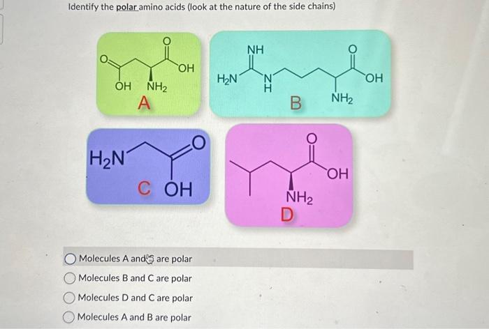 Solved Identify the polar amino acids (look at the nature of | Chegg.com