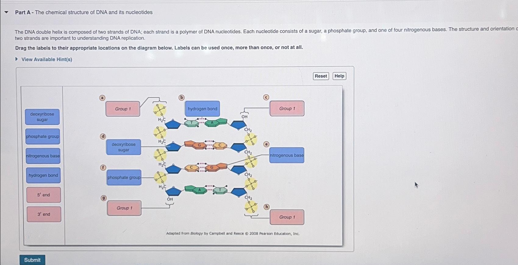 Solved Part A - ﻿The chemical structure of DNA and its | Chegg.com