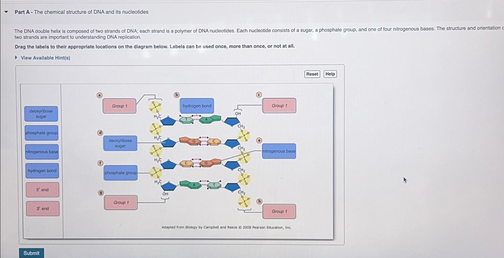 Solved Part A The Chemical Structure Of Dna And Its Chegg Com