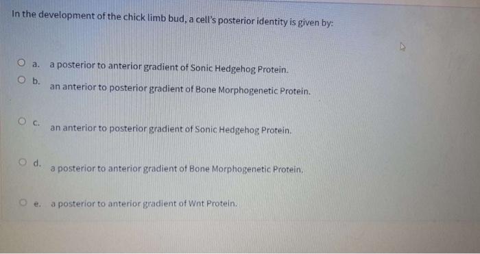 In the development of the chick limb bud, a cells posterior identity is given by: a posterior to anterior gradient of Sonic