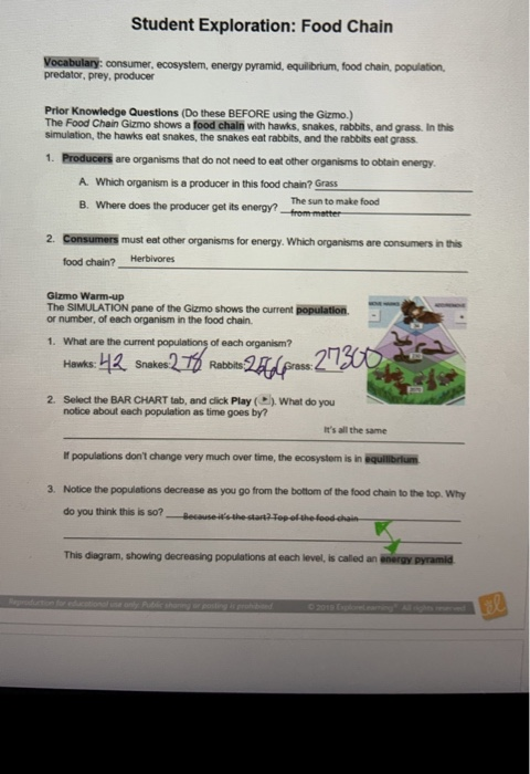 Student Exploration Food Chain Vocabulary Consumer Chegg Com