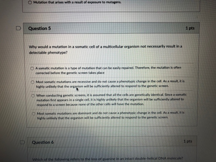Solved Question 2 1 pts Which of the following is a type of | Chegg.com