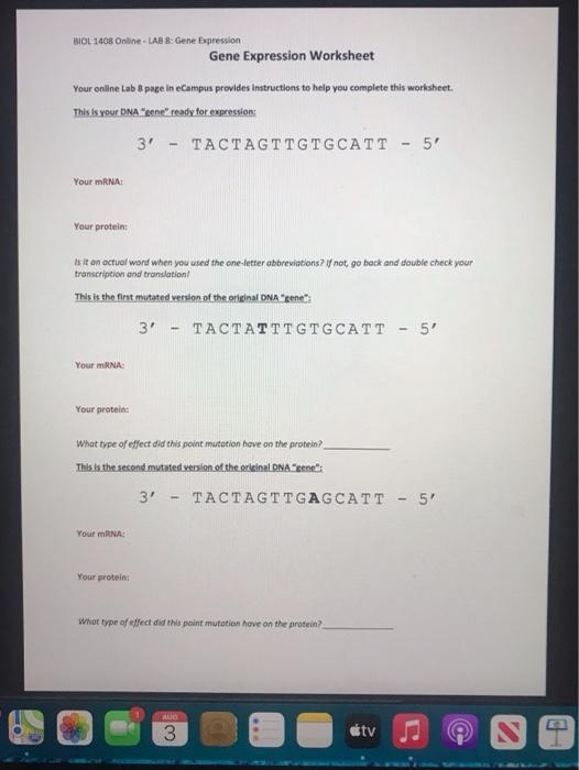 Solved BIOL 100Online - LAB & Gene Expression Gene | Chegg.com