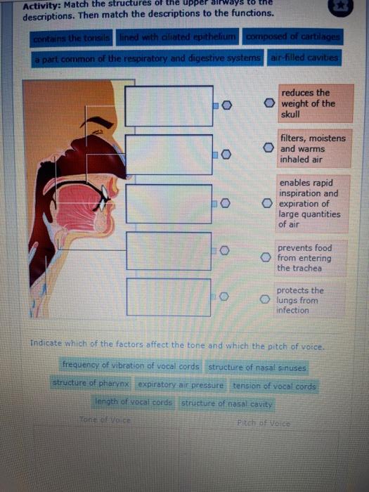 Solved filters, moistens and warms inhaled air. enables