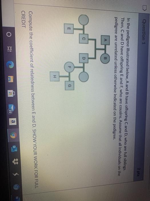 Solved Question 1 2 pts In the pedigree illustrated below, A | Chegg.com