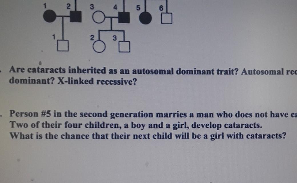 Solved The pedigree below shows the inheritance of a rare | Chegg.com