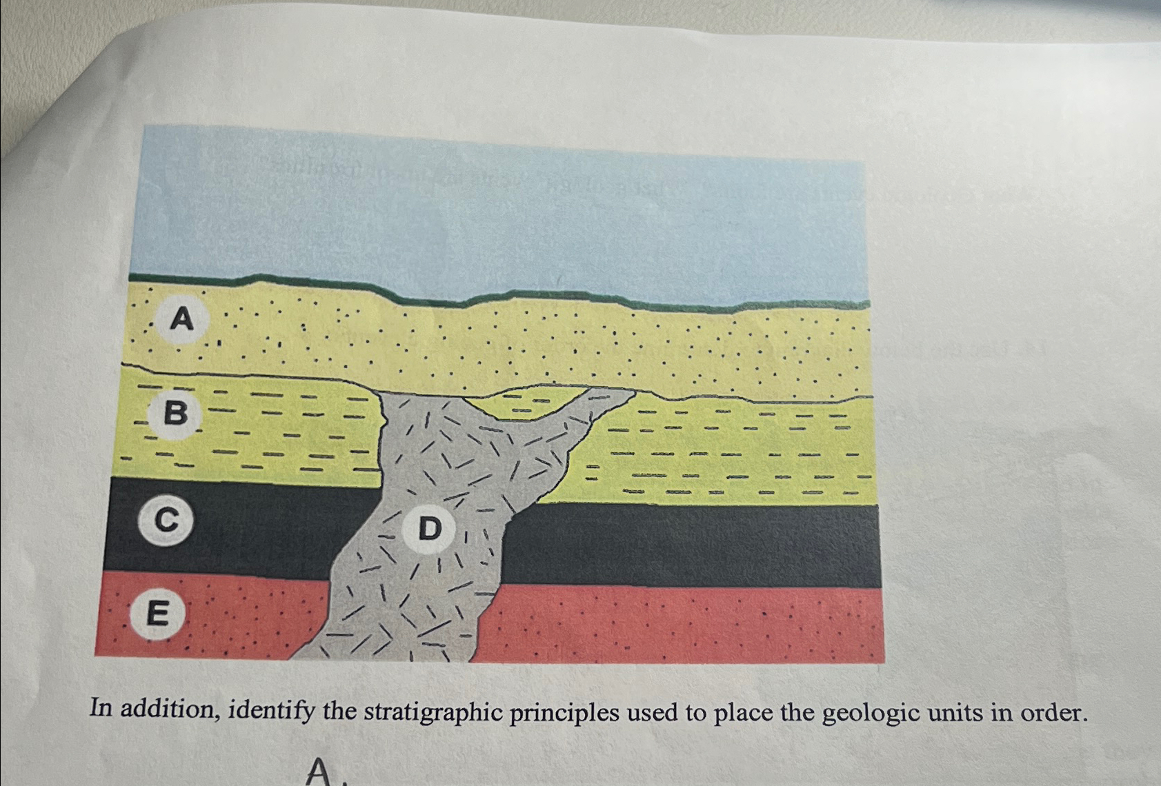 Solved In Addition, Identify The Stratigraphic Principles | Chegg.com