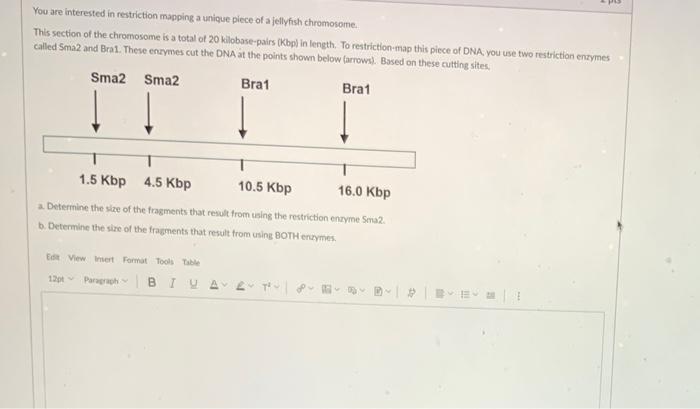 Solved You are interested in restriction mapping a unique | Chegg.com