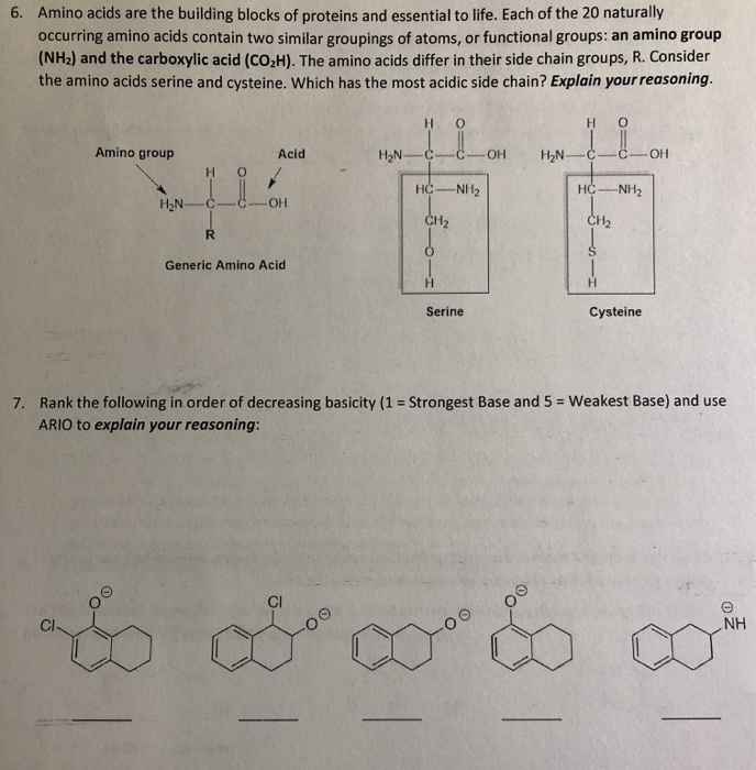 Solved 6. Amino acids are the building blocks of proteins | Chegg.com