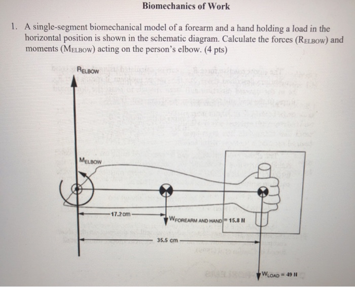 Figure E1: A conceptualised body segment model for the batting