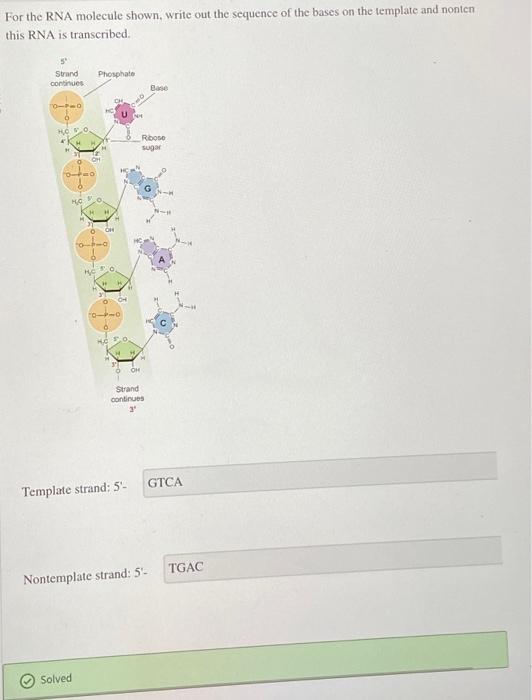 student submitted image, transcription available below