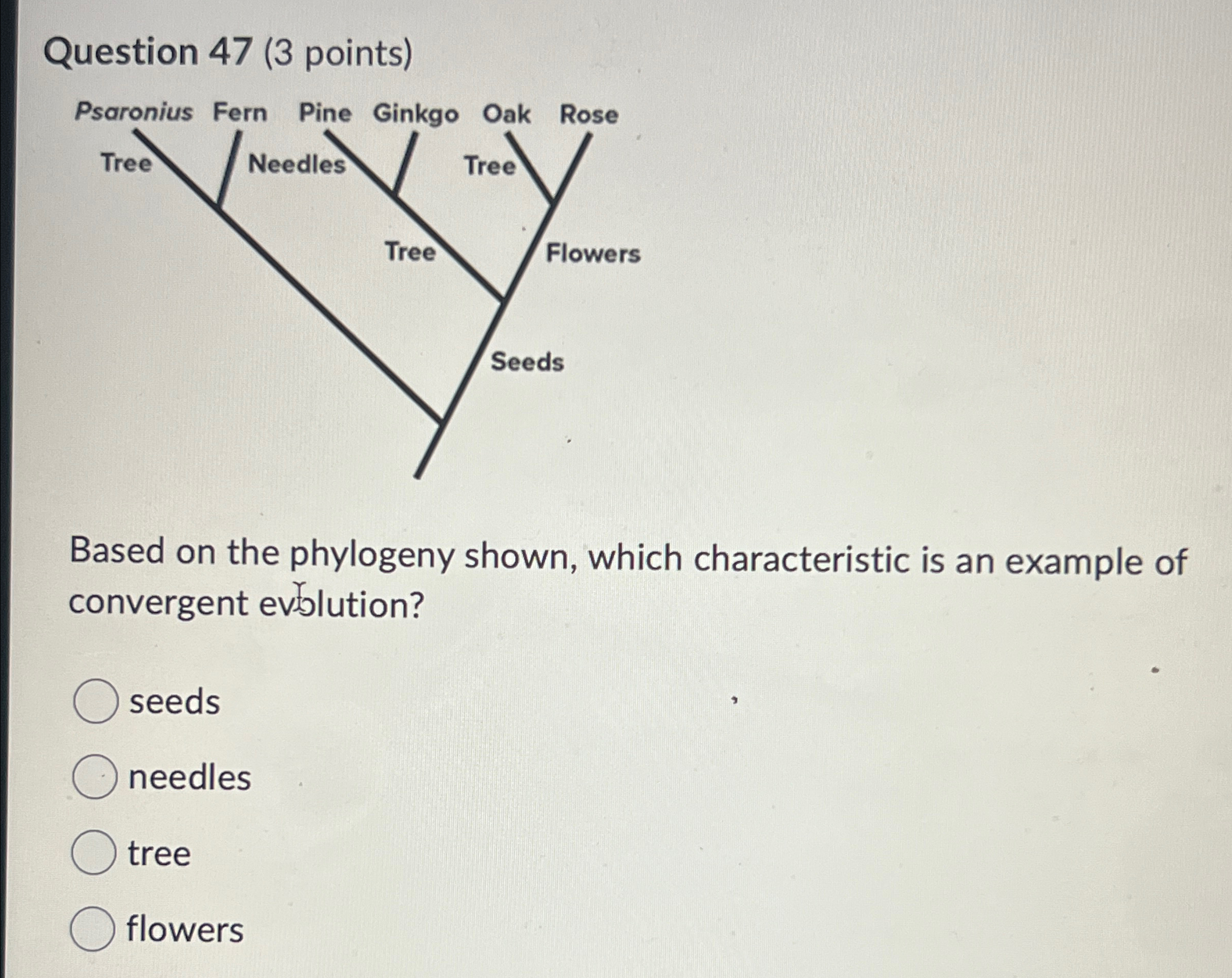 Solved Question 47 (3 ﻿points)Based on the phylogeny shown, | Chegg.com