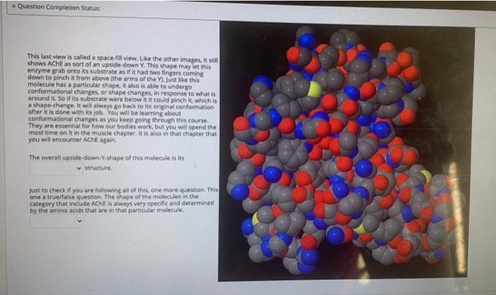 Solved this is one question but different parts only 4 | Chegg.com